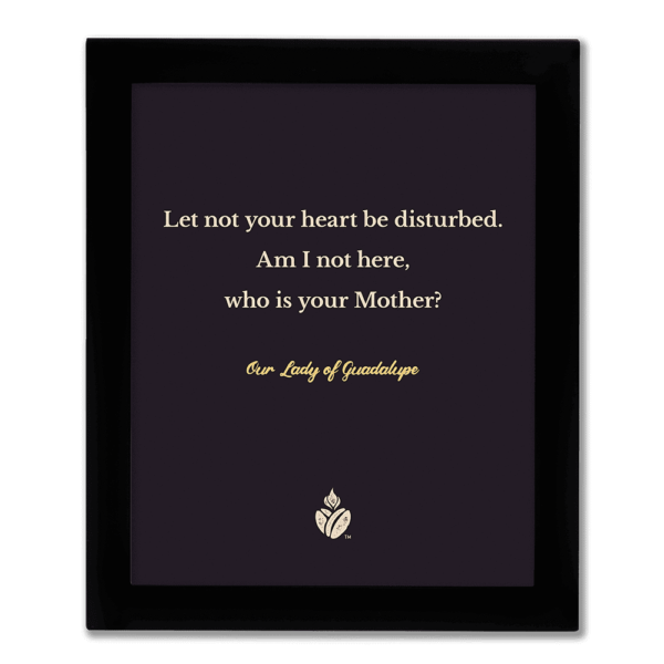 Our Lady of Guadalupe Quote Framed Print