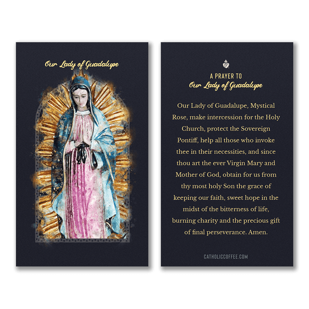 Our Lady of Guadalupe Prayer Card Pack of 3